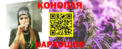 стаф Бузулук
